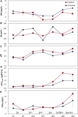 Dissolved Organic Carbon Loading Stimulates Sediment Phosphorus Mobilization and Release: Preliminary Evidence From Xiangshan Port, East China Sea